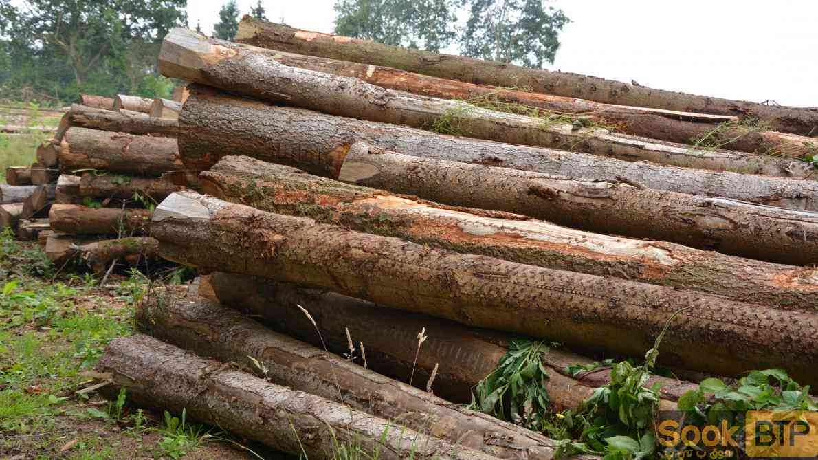 Vend pied droit en bois