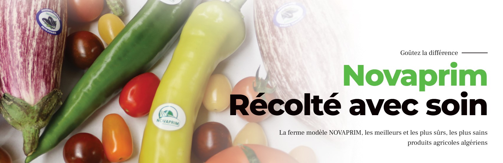Publicité Accueil SOOKAGRO
