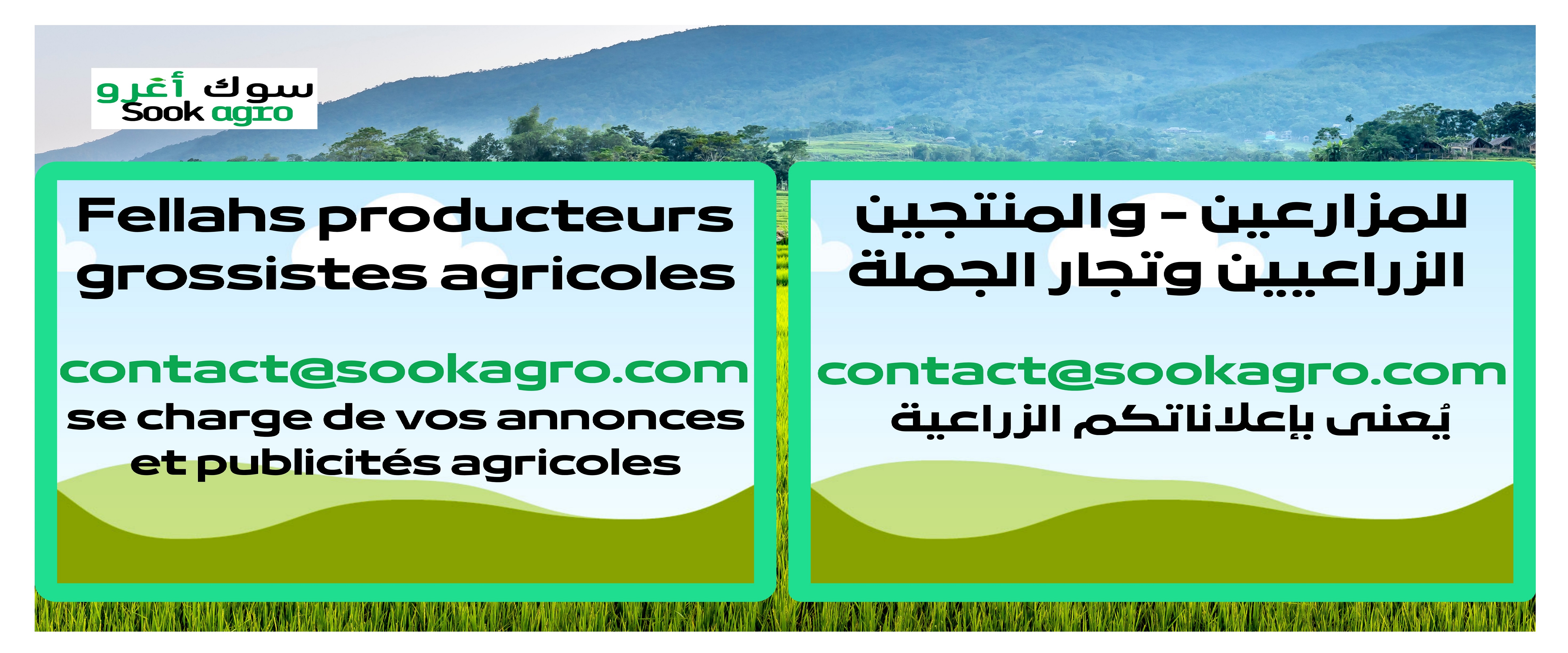 Publicité Accueil SOOKAGRO